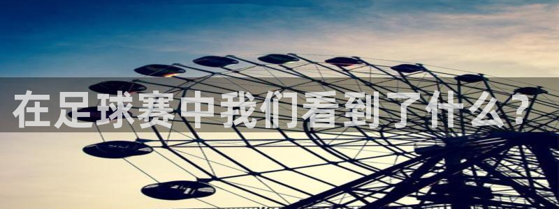 在足球赛中我们看到了什么？