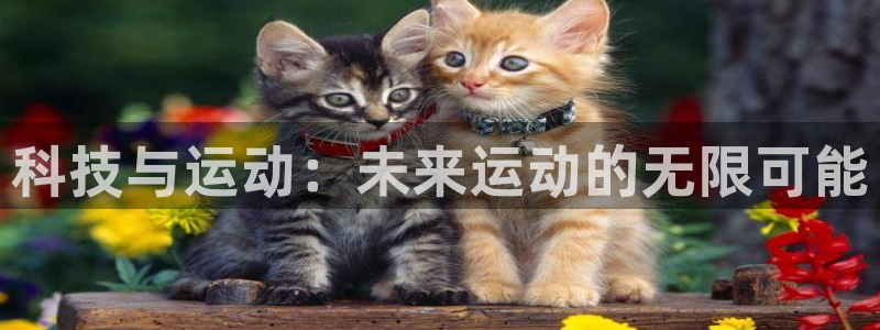 科技与运动：未来运动的无限可能