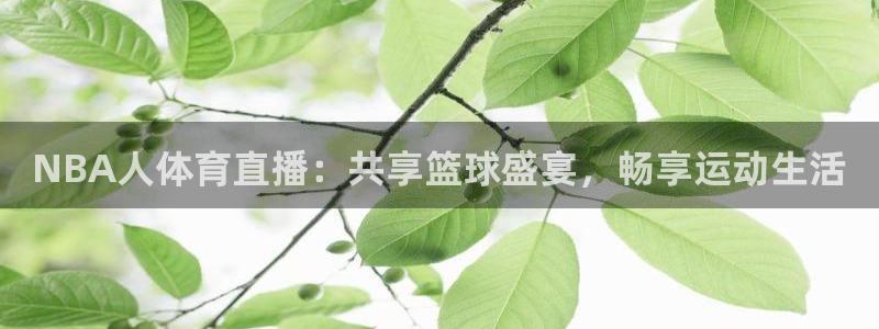 NBA人体育直播：共享篮球盛宴，畅享运动生活
