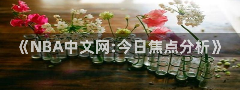 《NBA中文网:今日焦点分析》