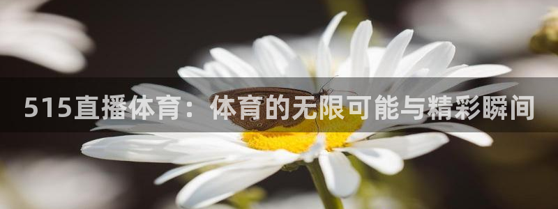 515直播体育：体育的无限可能与精彩瞬间
