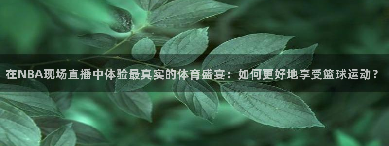 在NBA现场直播中体验最真实的体育盛宴：如何更好地享受篮球运动？