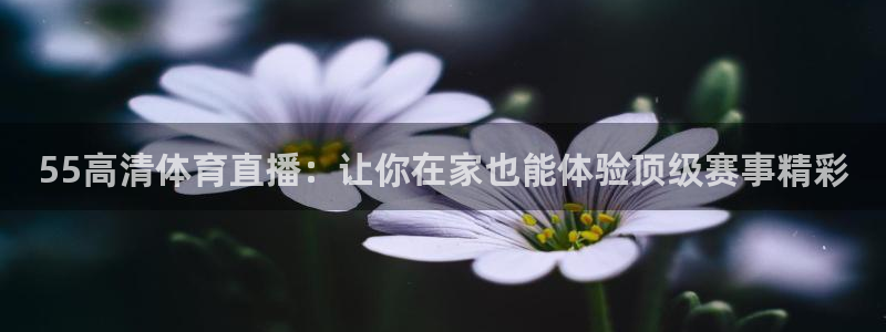 55高清体育直播：让你在家也能体验顶级赛事精彩