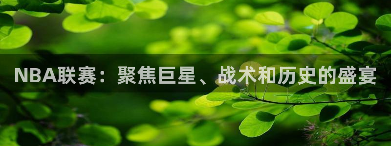 NBA联赛：聚焦巨星、战术和历史的盛宴