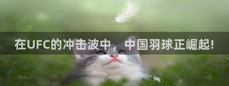 在UFC的冲击波中，中国羽球正崛起!