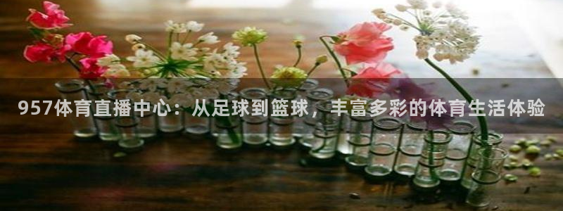 957体育直播中心：从足球到篮球，丰富多彩的体育生活体验