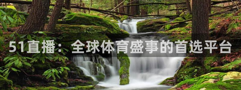 51直播：全球体育盛事的首选平台