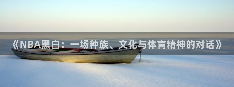《NBA黑白：一场种族、文化与体育精神的对话》
