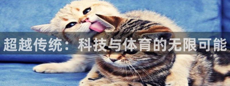 超越传统：科技与体育的无限可能