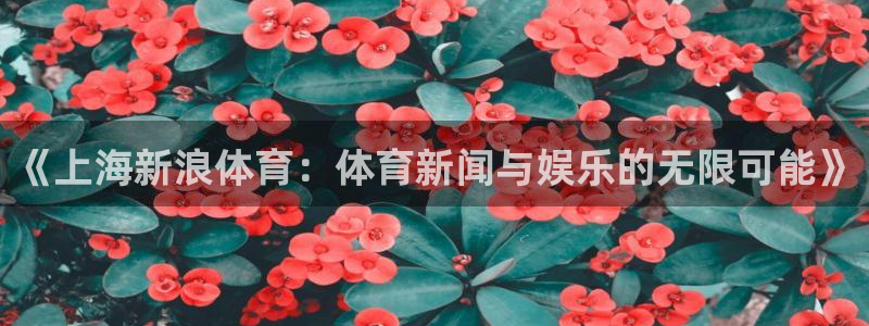 《上海新浪体育：体育新闻与娱乐的无限可能》