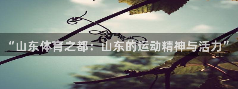 “山东体育之都：山东的运动精神与活力”