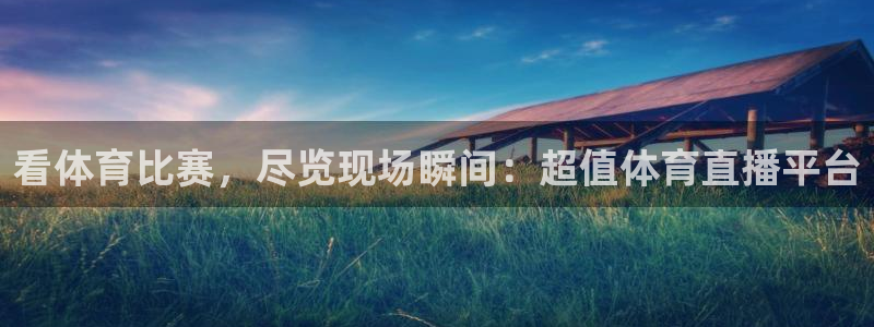看体育比赛，尽览现场瞬间：超值体育直播平台