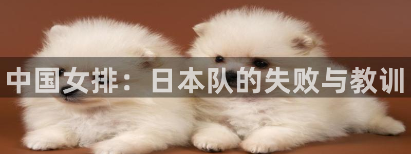 中国女排：日本队的失败与教训