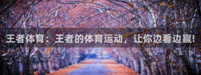 王者体育：王者的体育运动，让你边看边赢!
