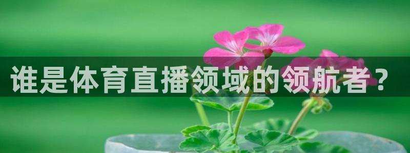 谁是体育直播领域的领航者？