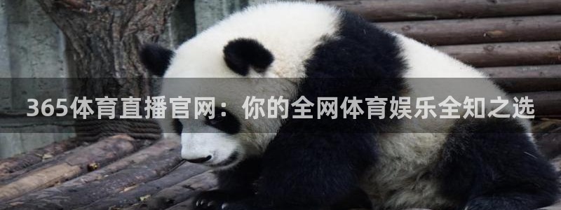 365体育直播官网：你的全网体育娱乐全知之选