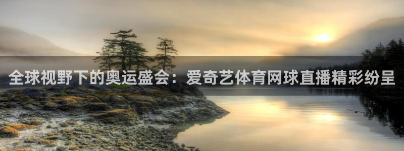 全球视野下的奥运盛会：爱奇艺体育网球直播精彩纷呈