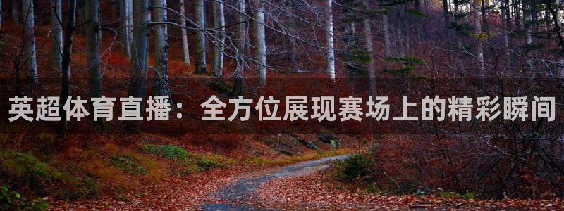 英超体育直播：全方位展现赛场上的精彩瞬间