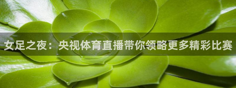 女足之夜：央视体育直播带你领略更多精彩比赛