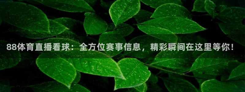 88体育直播看球：全方位赛事信息，精彩瞬间在这里等你！