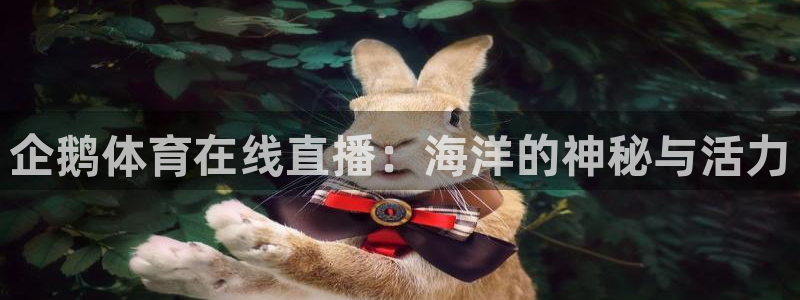 企鹅体育在线直播：海洋的神秘与活力
