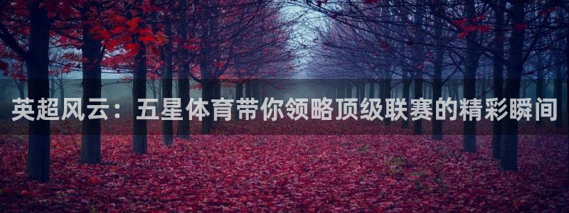 英超风云：五星体育带你领略顶级联赛的精彩瞬间