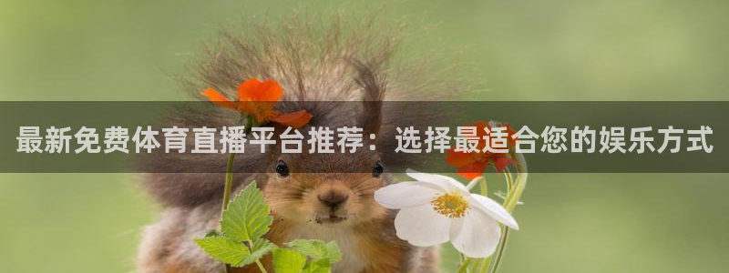 最新免费体育直播平台推荐：选择最适合您的娱乐方式