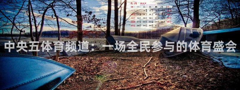 中央五体育频道：一场全民参与的体育盛会