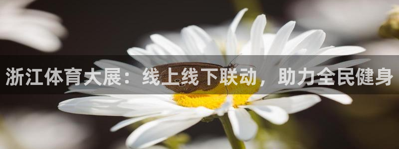 浙江体育大展：线上线下联动，助力全民健身
