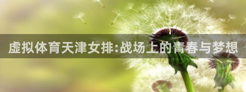 虚拟体育天津女排:战场上的青春与梦想