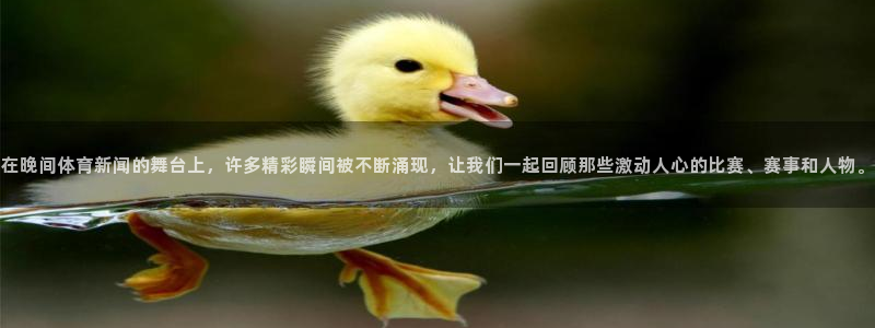 在晚间体育新闻的舞台上，许多精彩瞬间被不断涌现，让我们一起回顾那些激动人心的比赛、赛事和人物。