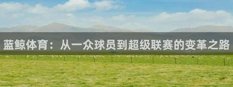蓝鲸体育：从一众球员到超级联赛的变革之路