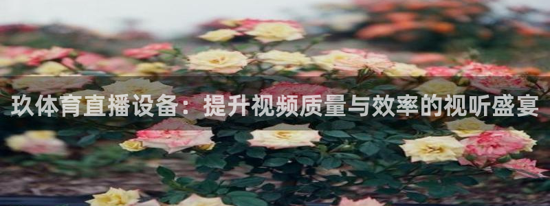 玖体育直播设备：提升视频质量与效率的视听盛宴