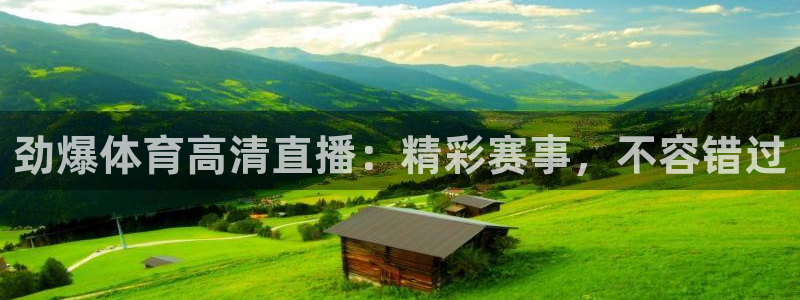劲爆体育高清直播：精彩赛事，不容错过