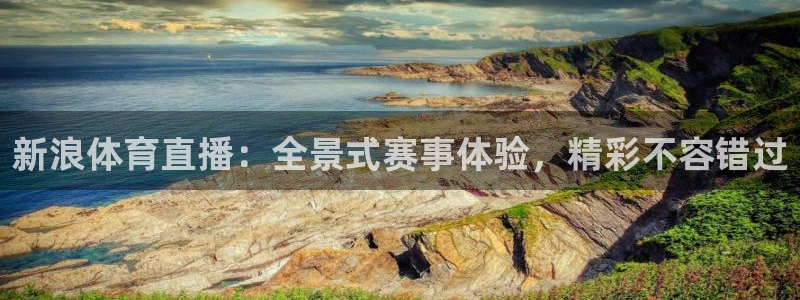 新浪体育直播：全景式赛事体验，精彩不容错过
